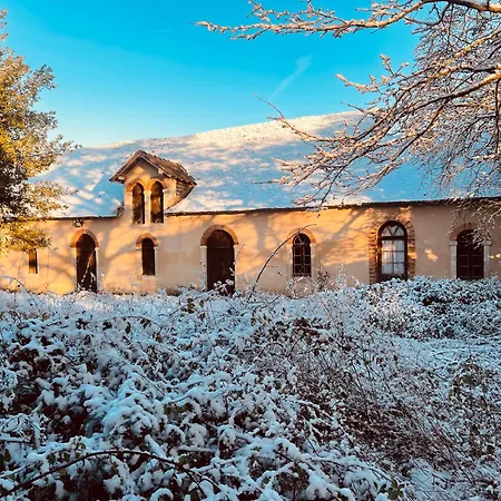 Ferienhaus La Maison Sycomore *