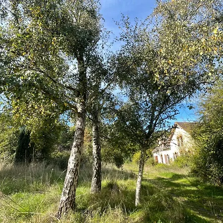 La Maison Sycomore Courcival
